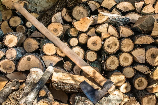 Haufen vom Baum — Stockfoto