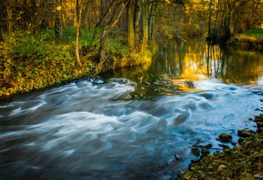 Creek Güz