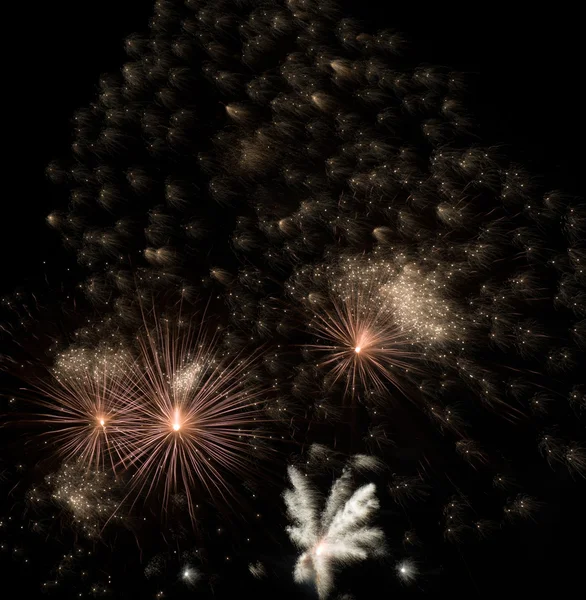 Feuerwerk — Stockfoto