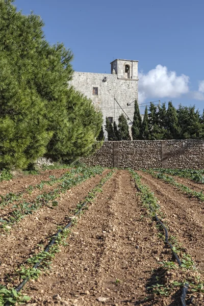 Malta Countryside — Stock Photo, Image