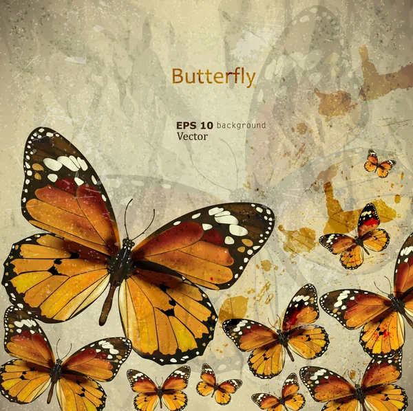 蝶のカラフルなビンテージ背景。グランジ テクスチャ — ストックベクタ