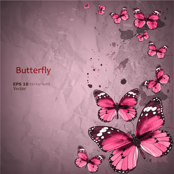 Colorful vintage background with butterfly. Grunge paper texture — Stock Vector