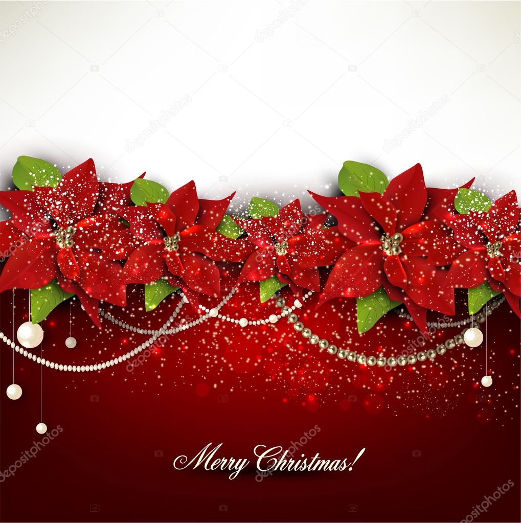 Elegant background with Christmas garland.