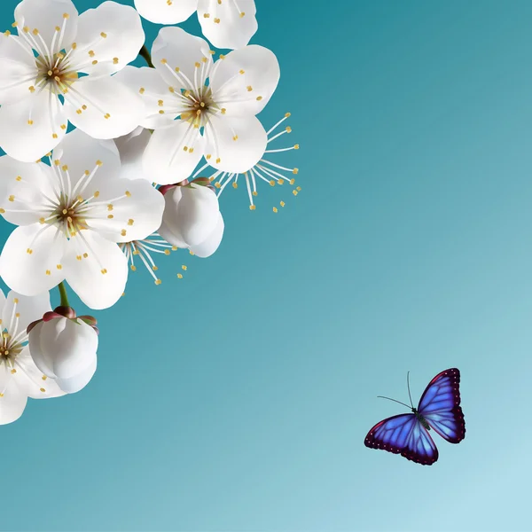 Fleur de cerisier & Papillon bleu — Image vectorielle