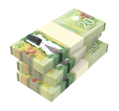 Beyaz arka plan üzerinde izole Kanadalı dolar para.