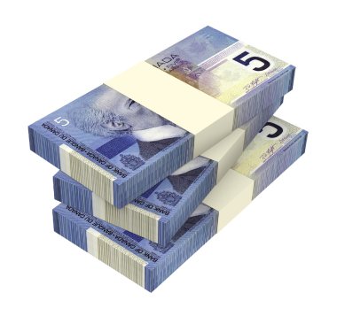 Beyaz arka plan üzerinde izole Kanadalı dolar para.