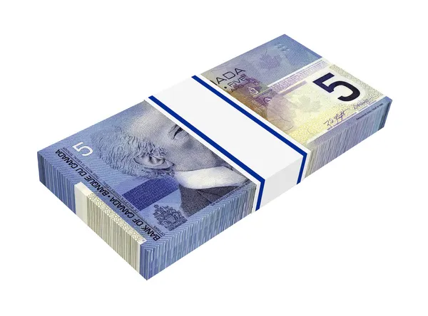 Beyaz arka plan üzerinde izole Kanadalı dolar para.