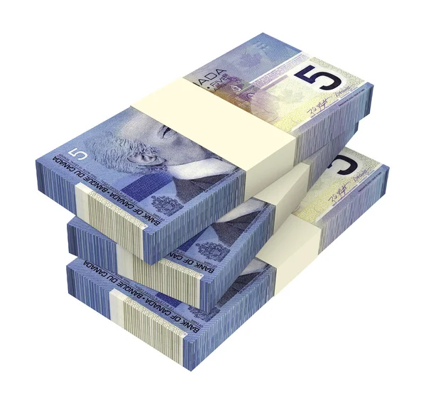 Bani canadieni izolați pe fundal alb . — Fotografie, imagine de stoc