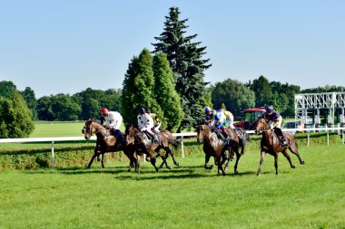at yarışı ödül wroclaw city juni 8, 2014 tarihinde Cumhurbaşkanı.