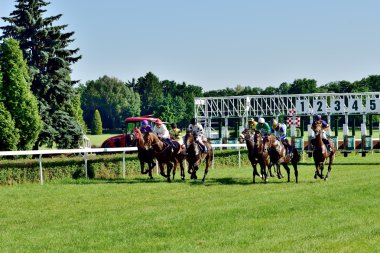 at yarışı ödül wroclaw city juni 8, 2014 tarihinde Cumhurbaşkanı.