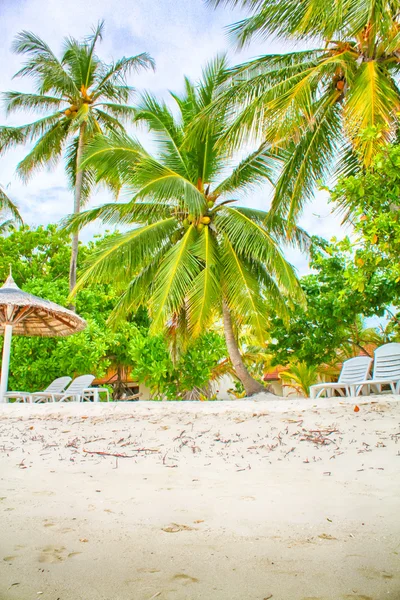 Tropisch paradijs. witte zand palm beach en blauwe hemel — Stockfoto