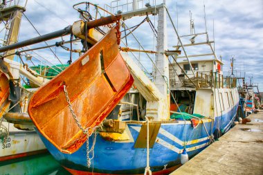 Balık trawler