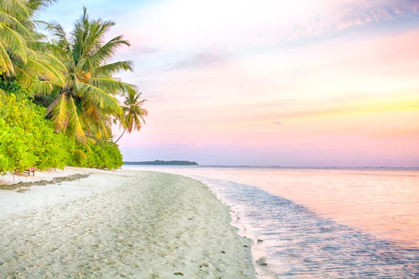 Tropical paradise. White sand palm beach at softly violet sunrise background — Stock Photo, Image
