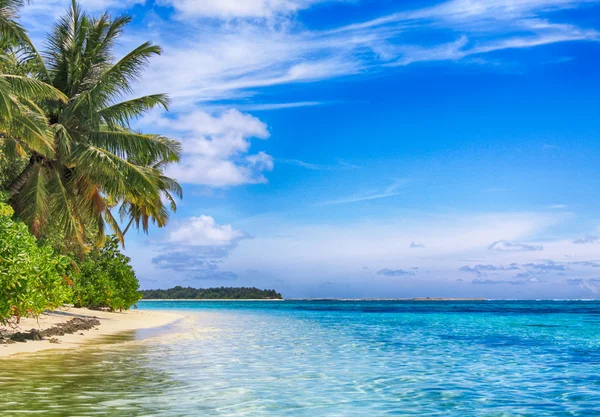 Tropisches Paradies. weißer Sandpalmenstrand und blauer Himmel Stockfoto