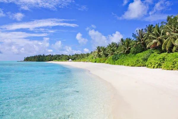 Tropisches Paradies. weißer Sandpalmenstrand und blauer Himmel Stockbild