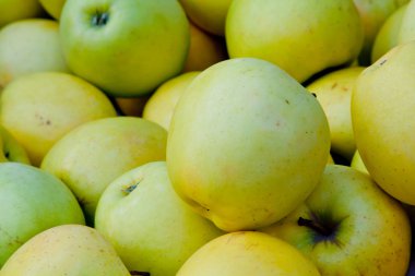 Apple arka plan