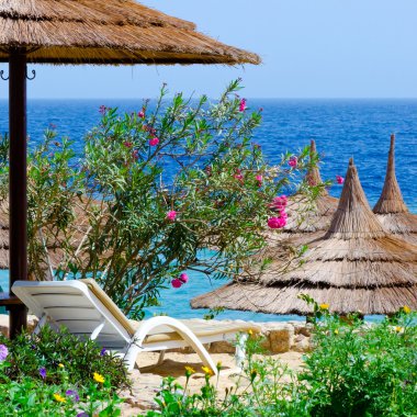 güzel bir plaj, şezlong şemsiye deniz arka plan üzerinde çiçekler