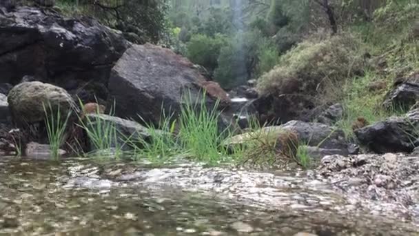 Agua Pura Clara Muelles Montaña — Vídeo de stock