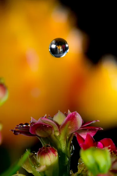 Blessings from Heaven — Stock Photo, Image