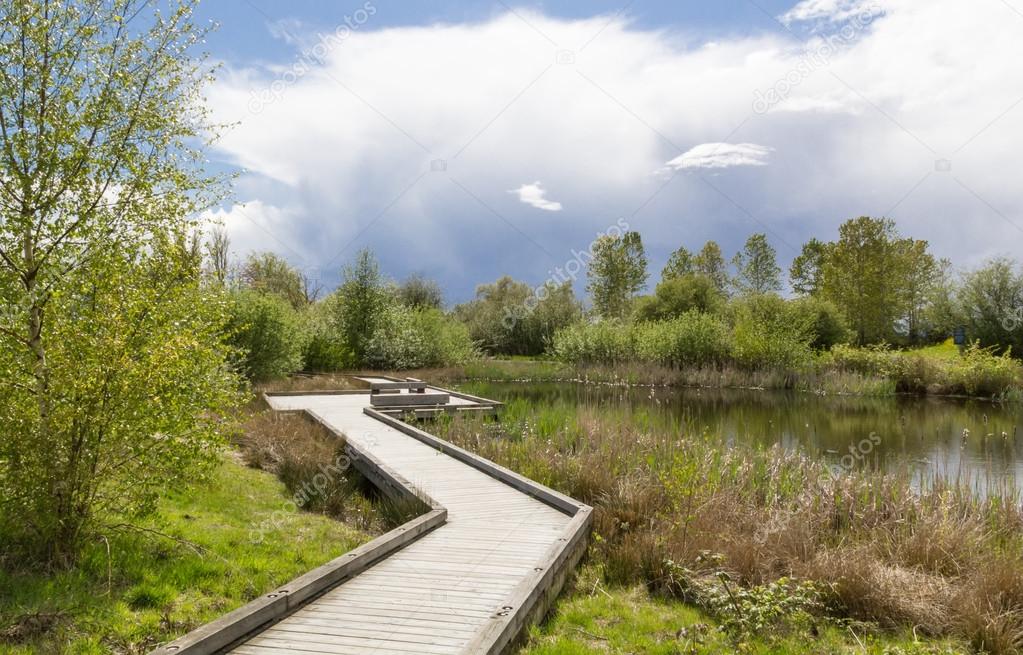 lake path.