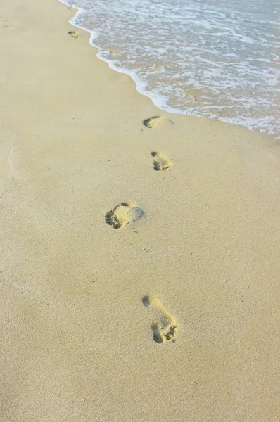 Foot prints on a sandy beach — Stock Photo, Image