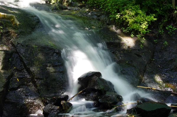 Bergwaldbach — Stockfoto