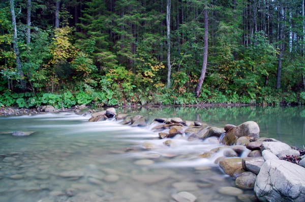 Flowing water of Carpathian mountain stream — Stock Photo, Image