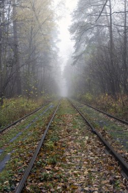 tren yolu virajlı orman