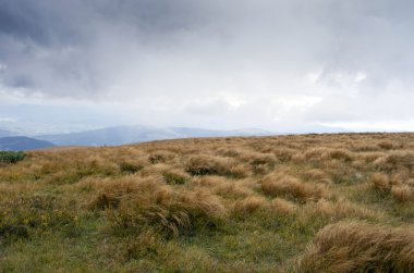 sonbahar akşam Dağı Yaylası peyzaj (Karpat, Ukrayna) 