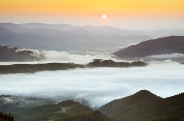 akşam Dağı Yaylası peyzaj (Karpat, Ukrayna) 