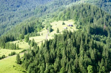 akşam Dağı Yaylası peyzaj (Karpat, Ukrayna) 