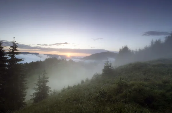 Abendliche Hochplateau-Landschaft (Karpaten, Ukraine) — Stockfoto