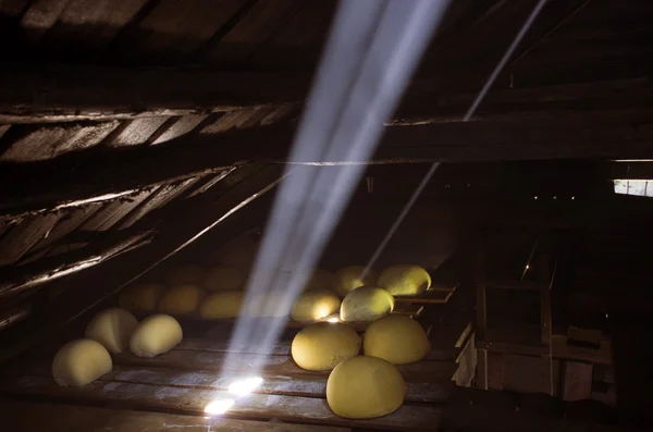 View of an inside of a dairy with racks full of forms of chees Stock Photo