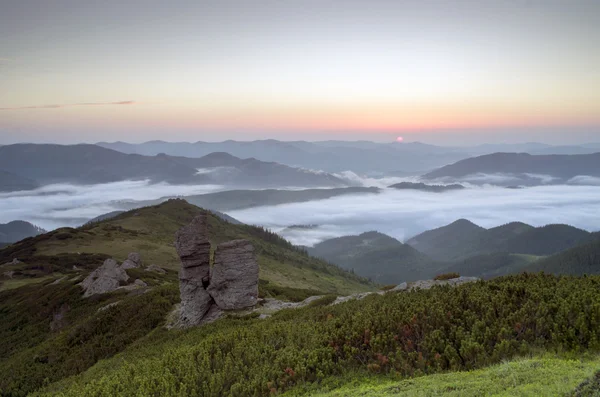 Paysage de plateau montagneux du soir (Carpates, Ukraine ) — Photo