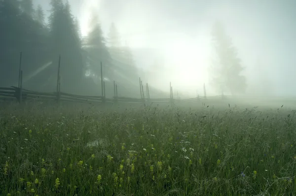 Kvällen berg platå landskap (Karpaterna, Ukraina) — Stockfoto