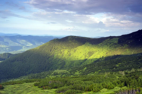 Schöne Aussicht von den Bergen mit Latschenkiefern im Vordergrund — Stockfoto