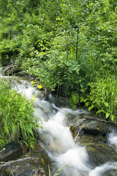 Landscape with waterfall in the mountains — Stock Photo, Image