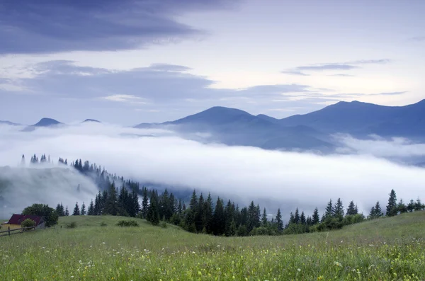 Abendliche Hochplateau-Landschaft (Karpaten, Ukraine) — Stockfoto