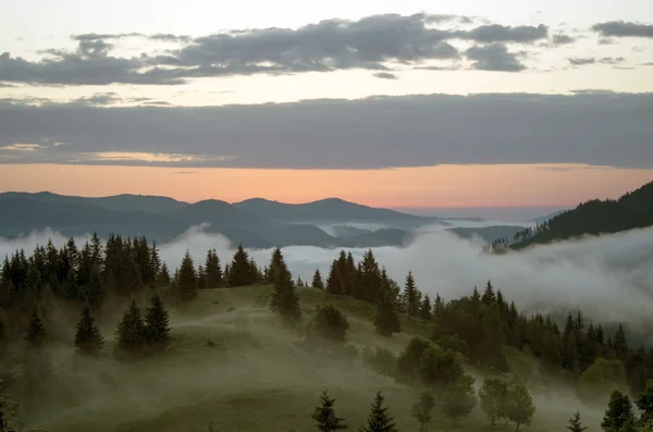 Kvällen berg platå landskap (Karpaterna, Ukraina) — Stockfoto