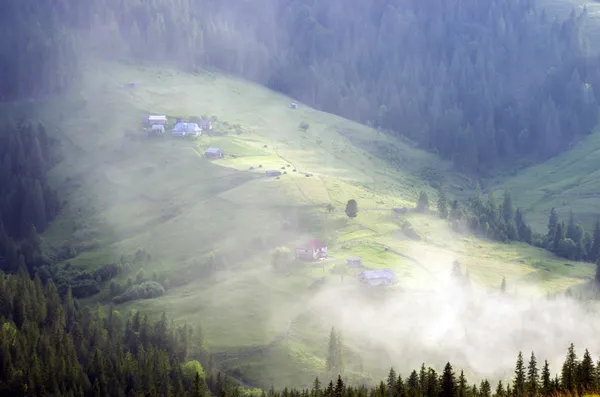 Вечернее горное плато (Карпаты, Украина) ) — стоковое фото