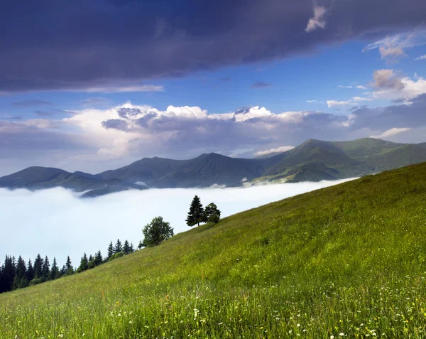 Paysage de plateau montagneux du soir (Carpates, Ukraine ) — Photo