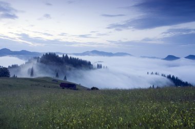 akşam Dağı Yaylası peyzaj (Karpat, Ukrayna)