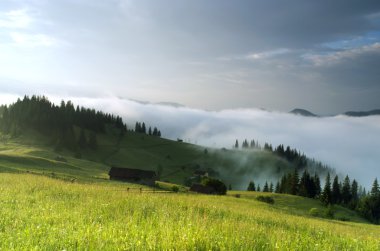 akşam Dağı Yaylası peyzaj (Karpat, Ukrayna)