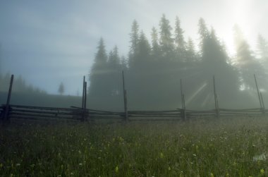 akşam Dağı Yaylası peyzaj (Karpat, Ukrayna)