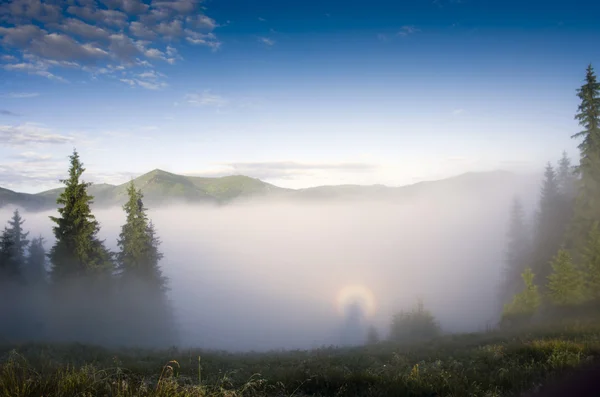 Paysage de plateau montagneux du soir (Carpates, Ukraine ) — Photo