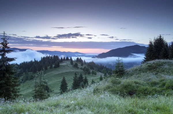Večer horské plošině krajina (karpatský, Ukrajina) — Stock fotografie