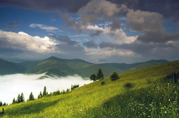 Abendliche Hochplateau-Landschaft (Karpaten, Ukraine) — Stockfoto