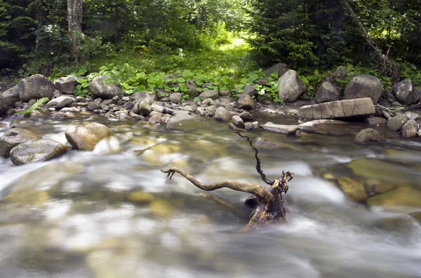 Río de montaña. Belleza naturaleza salvaje paisaje — Foto de Stock