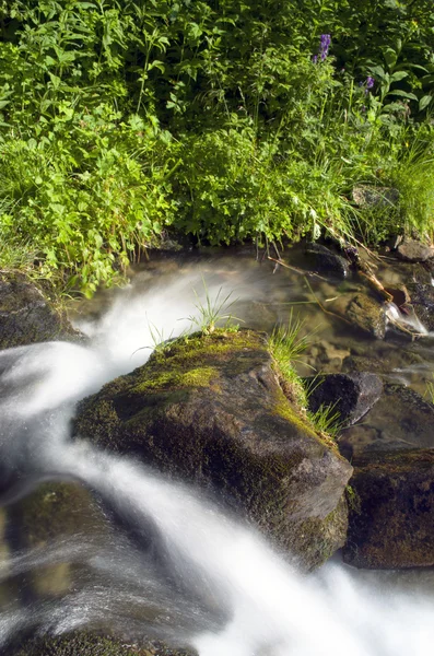 Flowing water of Carpathian mountain stream — Stock Photo, Image