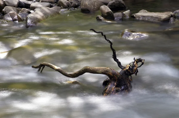 Dağ nehir. Güzellik vahşi doğa manzara — Stok fotoğraf